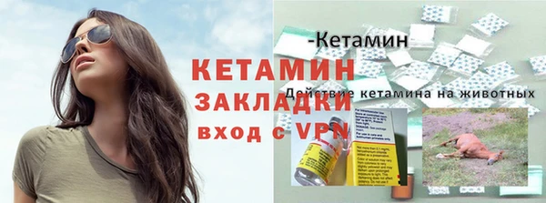 дживик Богородицк