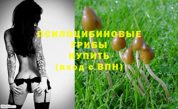 эйфоретик Бронницы