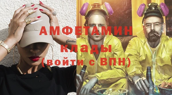 дживик Богородицк
