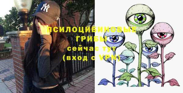 твердый Богородск