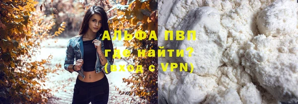 дживик Богородицк