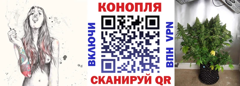 Канабис LSD WEED  купить закладку  Суровикино 